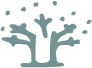 main-icon