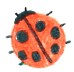 beetle-icon
