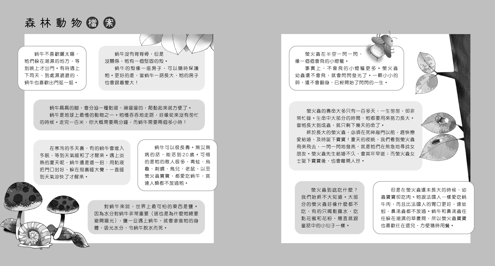 森林偵探室