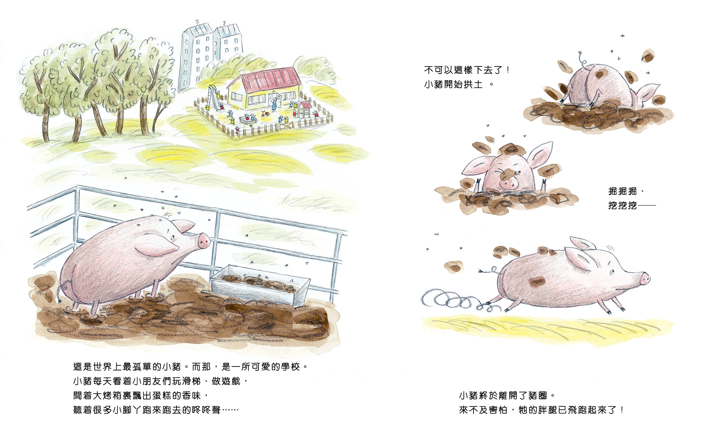 教室裏的小豬