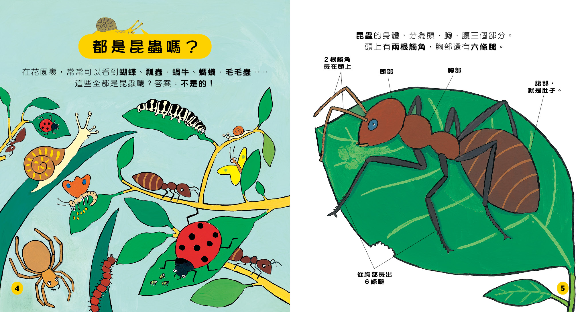 小小百科系列 2 - 真假小昆蟲