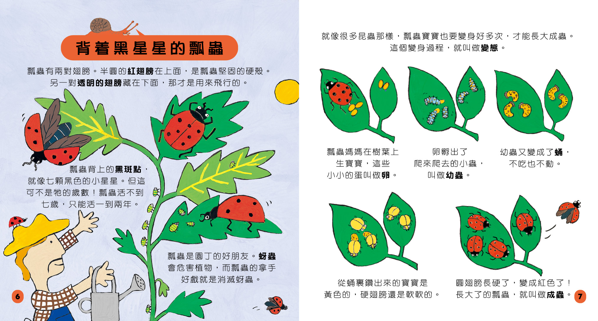 小小百科系列 2 - 真假小昆蟲
