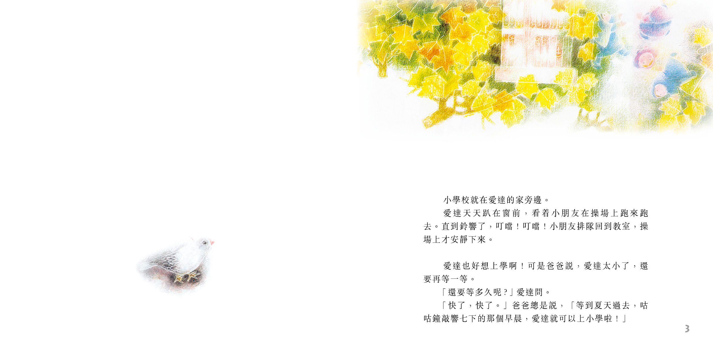 愛達的小鴿子