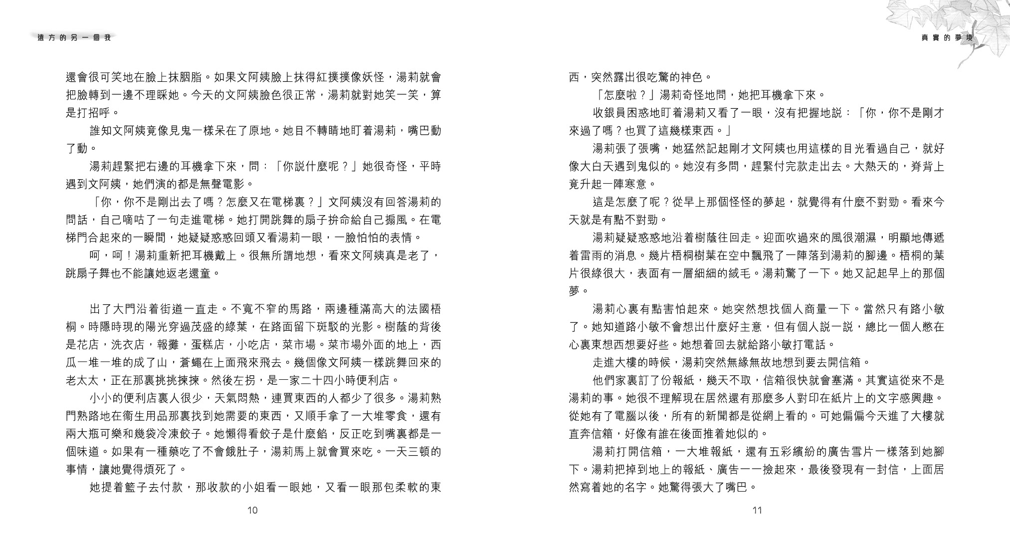 遠方的另一個我
