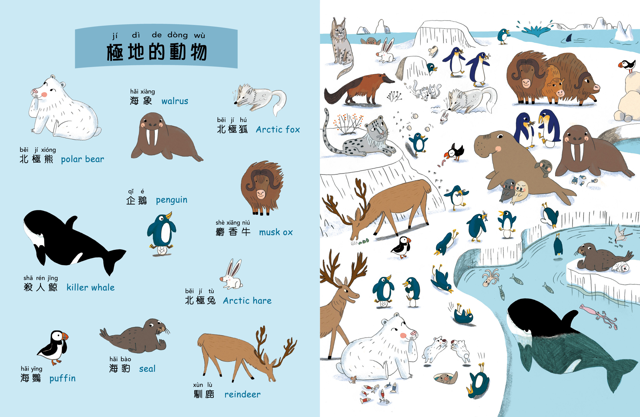 找找看 動物小辭典
