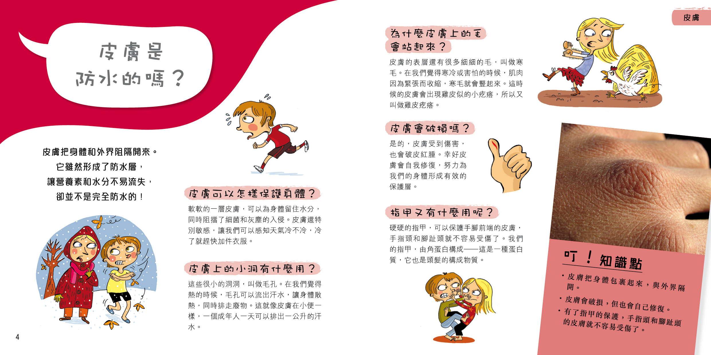 問號小百科 - 身體