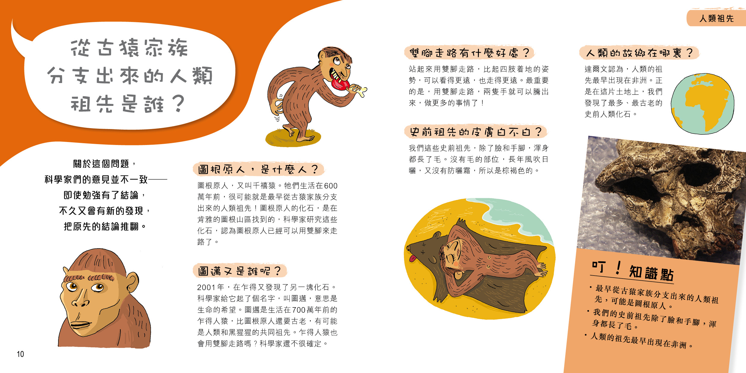 問號小百科 - 史前人類
