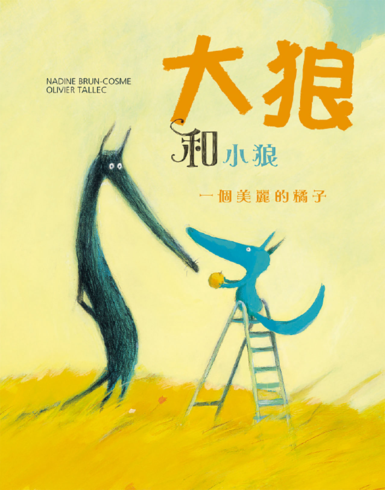 一個美麗的橘子