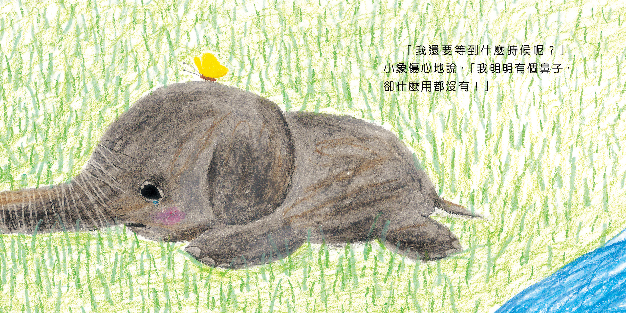 了不起的鼻子
