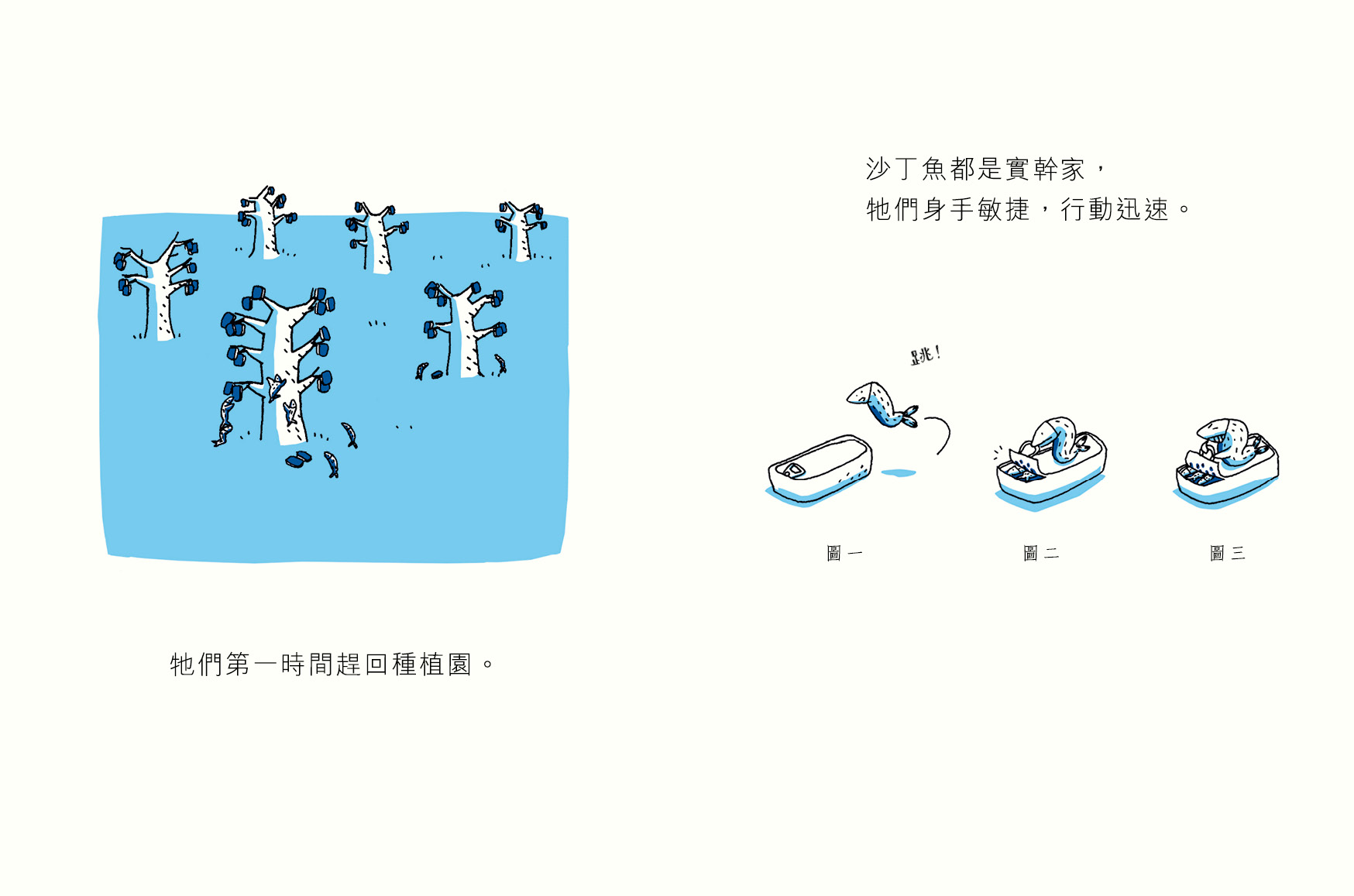 沙丁魚的故事