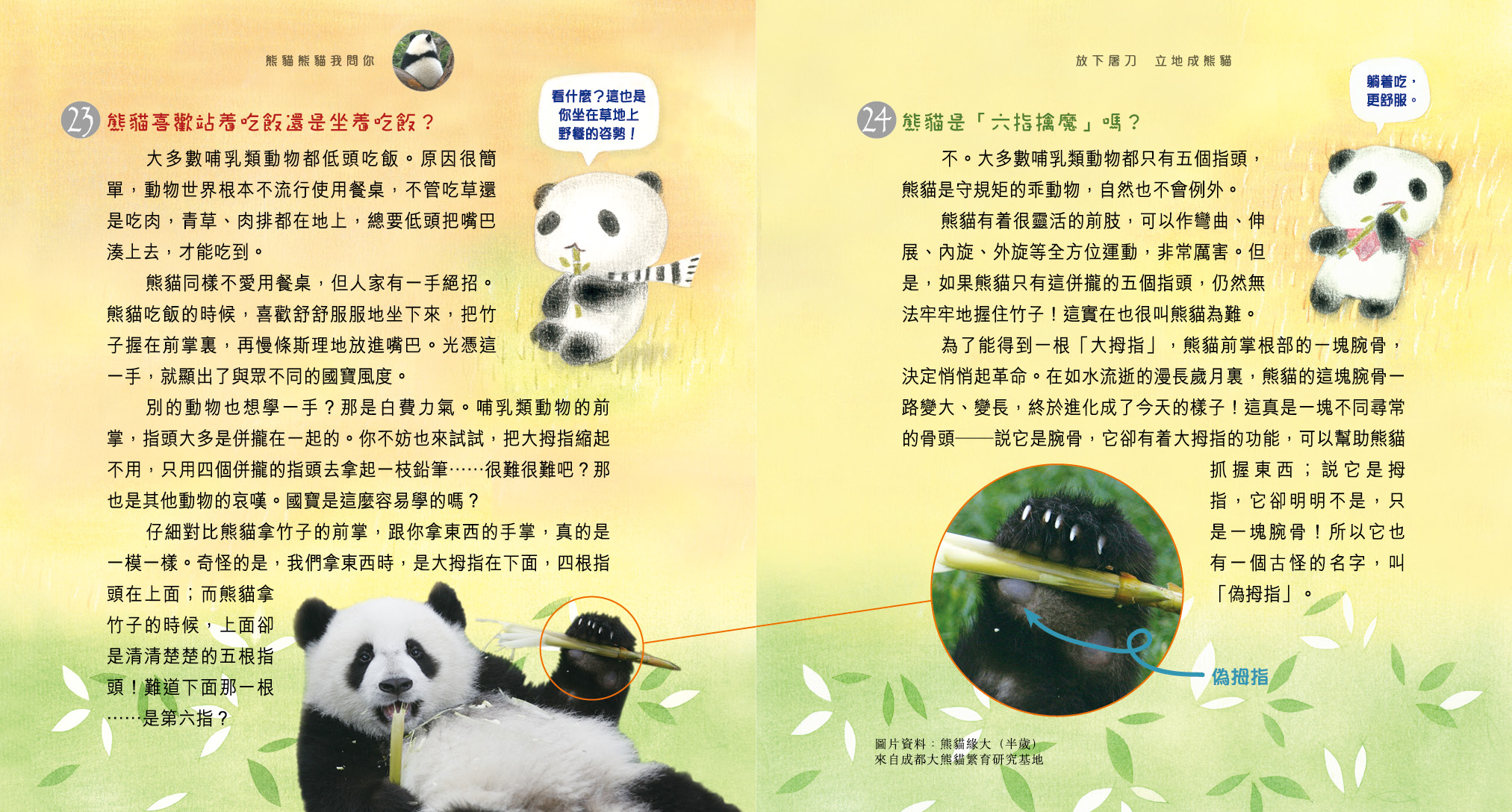 熊貓熊貓我問你